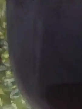 angel-cinderella Obrolan Langsung XXX