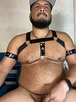 โชว์เว็บแคมของ the_master_foal_