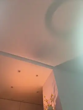 NicoleCut Chat XXX live