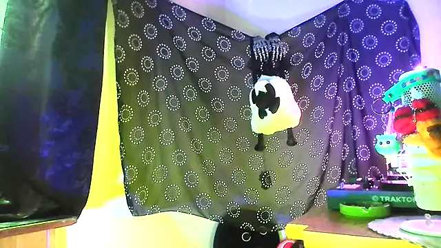 Guyst049: διαδικτυακό σόου στην κάμερα