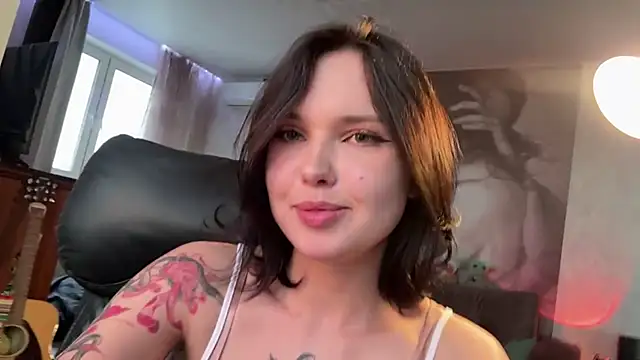 HanDeistern Webbikameraesitys