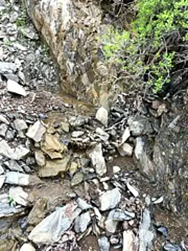 عرض كام TurkeyMen