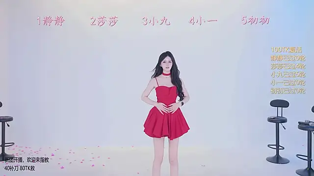 TY-002 网络视讯表演