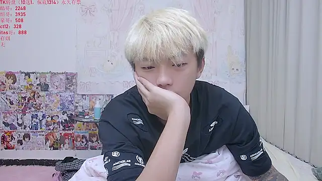 Chocolates-001 Show Webcam