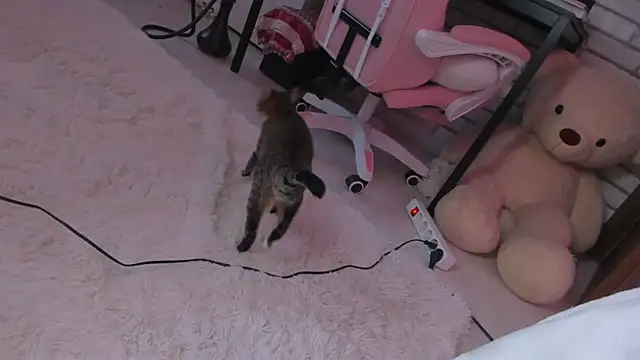 Živý XXX chat NatalForsy