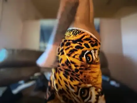 Pertunjukan Kamera Web ThrowedWorldWide