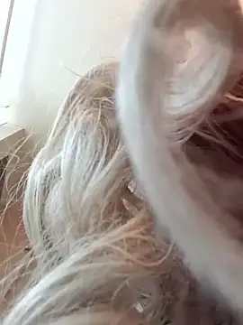 Show webcam de Lowerbottomboi