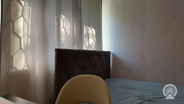 dalvosn Webbikameraesitys