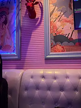 petoys 网络视讯表演