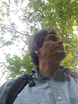 twitshe webkamerás műsora