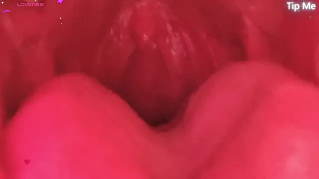 donghuangtaiyi--- 网络视讯表演