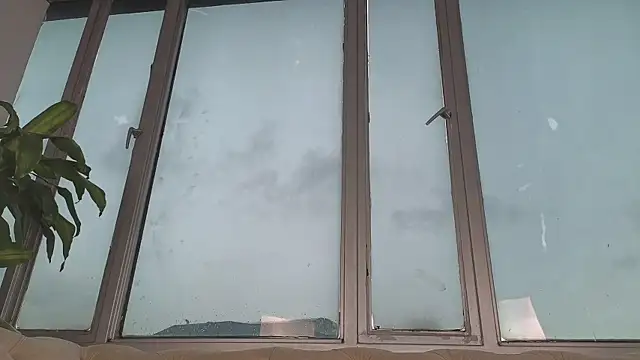 Megan_Lim: вебкам-шоу