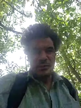 twitshe Live XXX-Chat