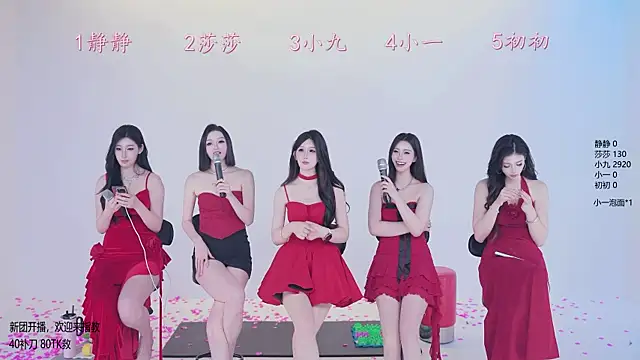 Show de webcam de TY-002