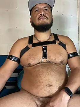 عرض كام the_master_foal_