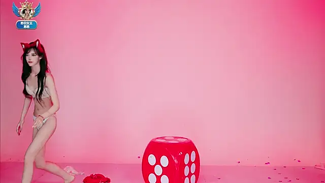 XG-002n Webbikameraesitys