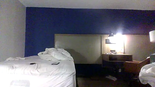 Dicksee_Leftn Webbikameraesitys