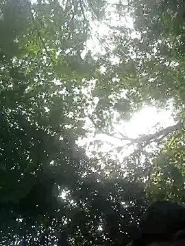 Alphamaster_92n Webbikameraesitys