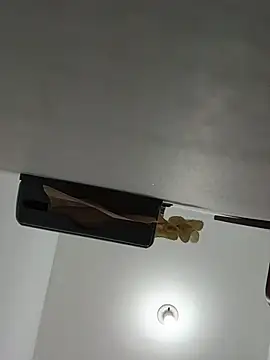 AlaskanCornpone Webcam Show