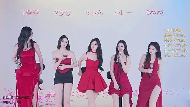 TY-002n Webbikameraesitys