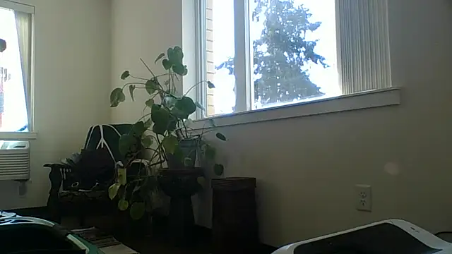 DavidEugeneOr webcam show