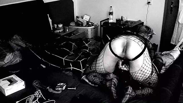 AskAveryAnything Show Webcam