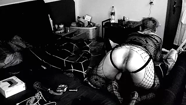 AskAveryAnything webkamerás műsora