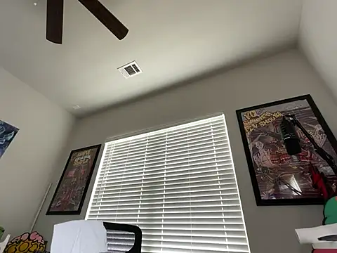 4EVAGLACIERS' Webcam Show