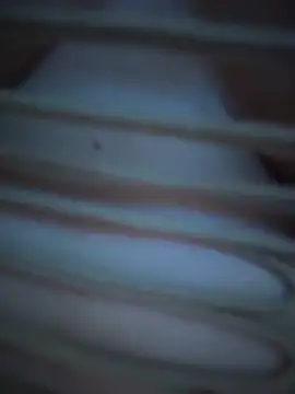 didihairypussy: вебкам-шоу