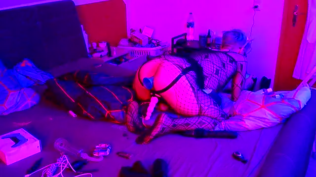 AskAveryAnything Pertunjukan Webcam