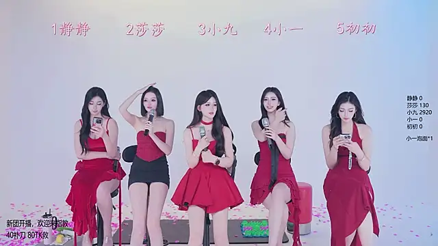 TY-002 网络视讯表演