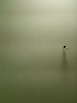 Mariofls Webcam-Show