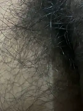 Pertunjukan Kamera Web hummingbirds1612