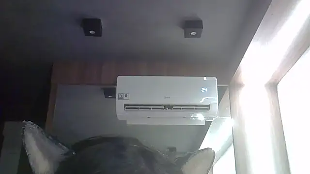 SkinnyKitten's Webcam Show