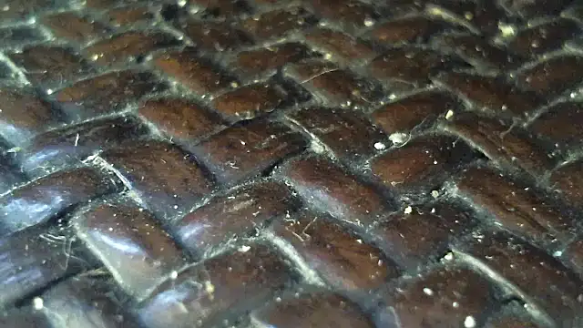 SassyAmanda87 – webcam-show