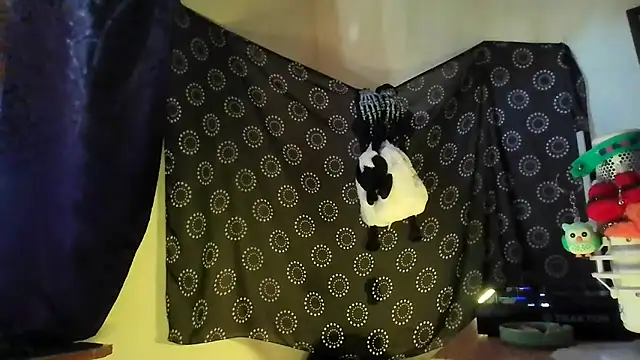 Guyst049 Show Webcam