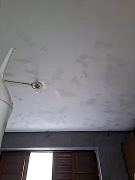 Show de Paizinhomau na webcam