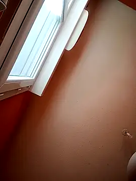 Show webcam de mrlolimirass