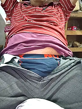 Show webcam de Srmotrs