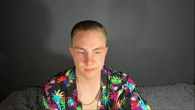 Show webcam de avrions