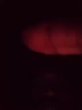 desibullboybd Webcamshow