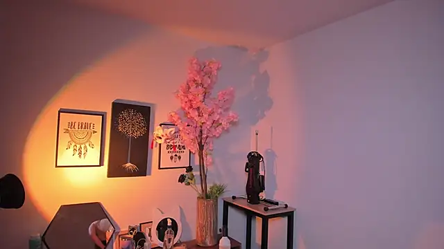 Siouxsie_cenobite Adlı Modelin Canlı XXX Sohbeti