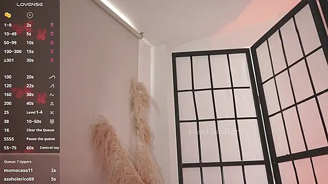 XXX chat uživo modela roselinedior