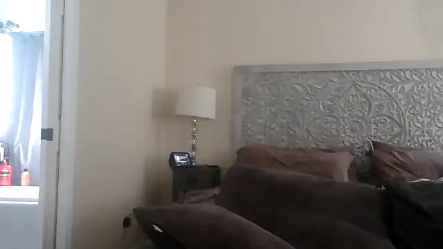 MISTERANDDEMI: вебкам-шоу