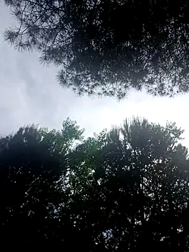 Xiomara_fiery 现场XXX聊天