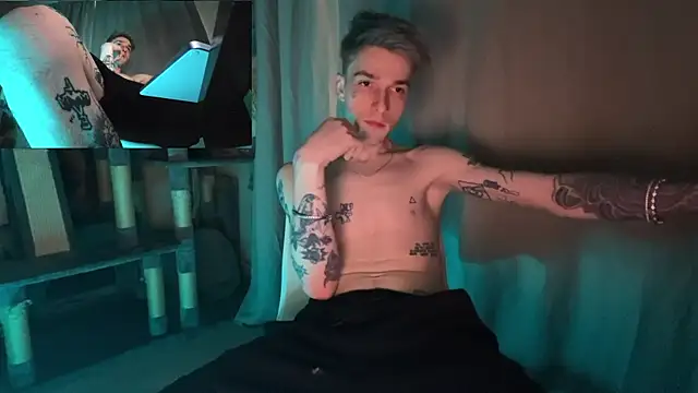 davesinnerのウェブカメラショー