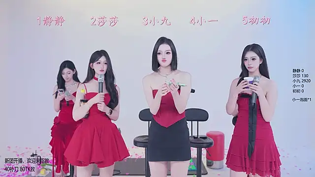 TY-002 网络视讯表演