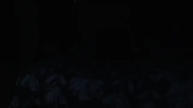 Jean-Smit: онлайн-секс-чат