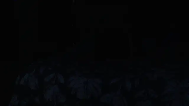 Chatroom XXX en direct de Jean-Smit