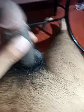 Show webcam de Arya9697